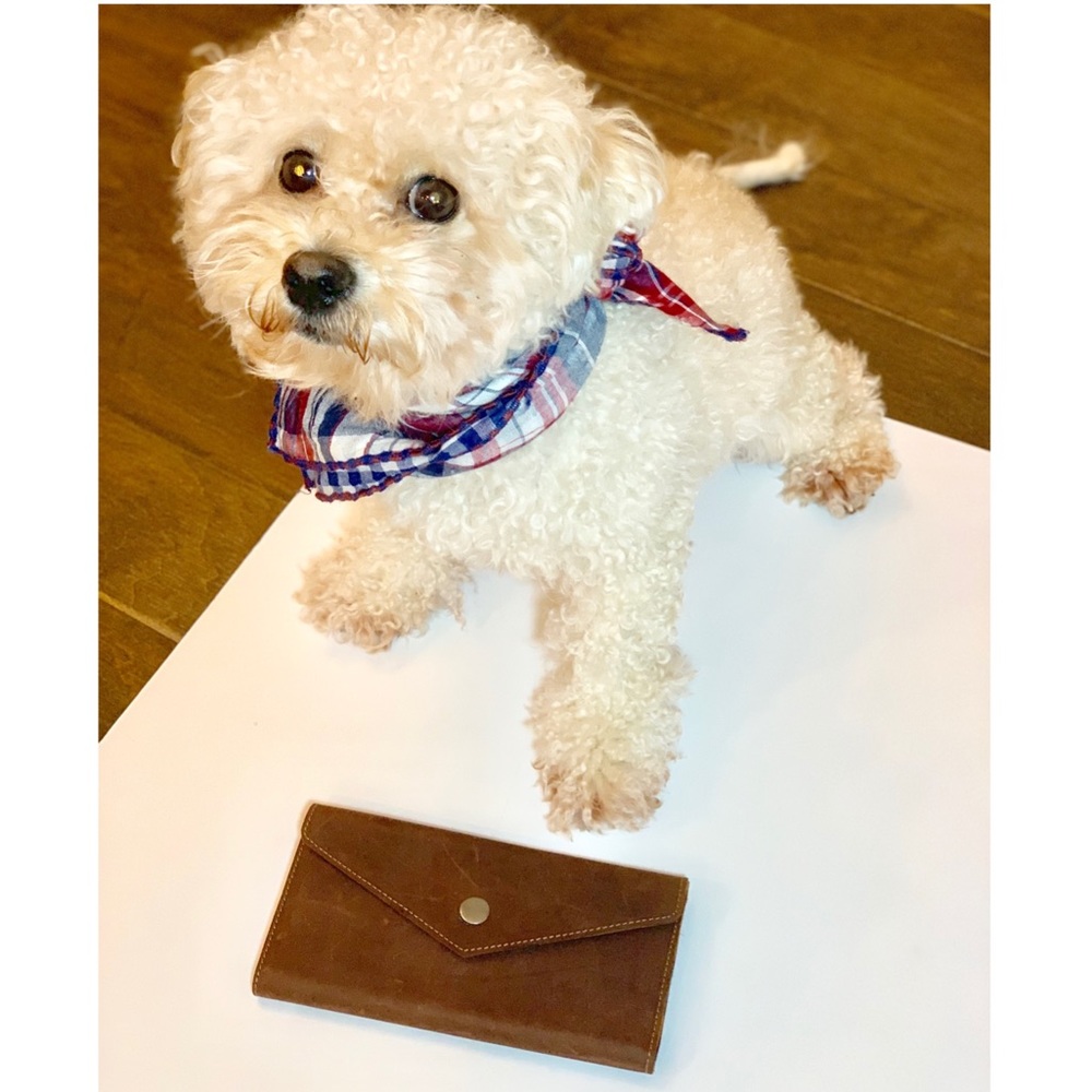 Basic faux leather wallet